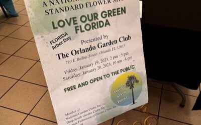 Love Our Green Florida Update