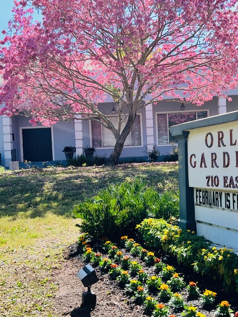 Spring Surrounds the Clubhouse by Karmie Sheppard