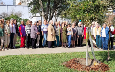 Arbor Day Tree Planting